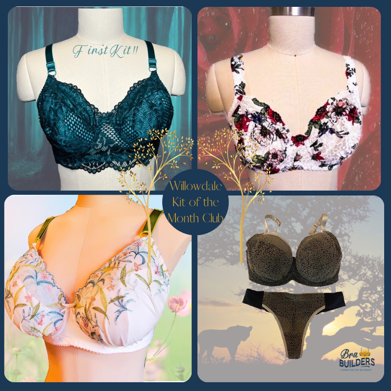 Kit of the Month Club Subscription – Bra Builders