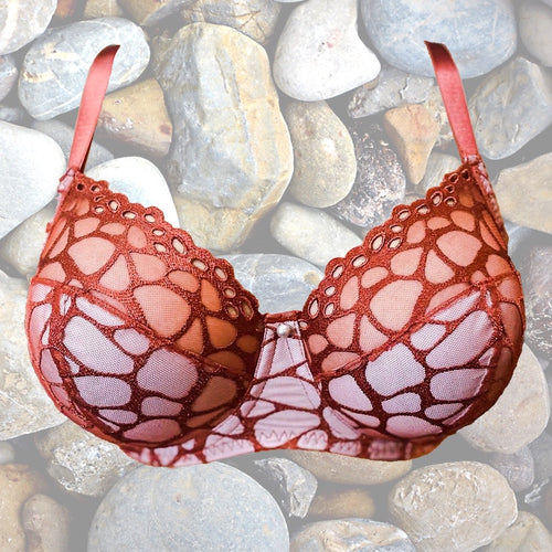 Cinnamon Stick Lace Bra Kit